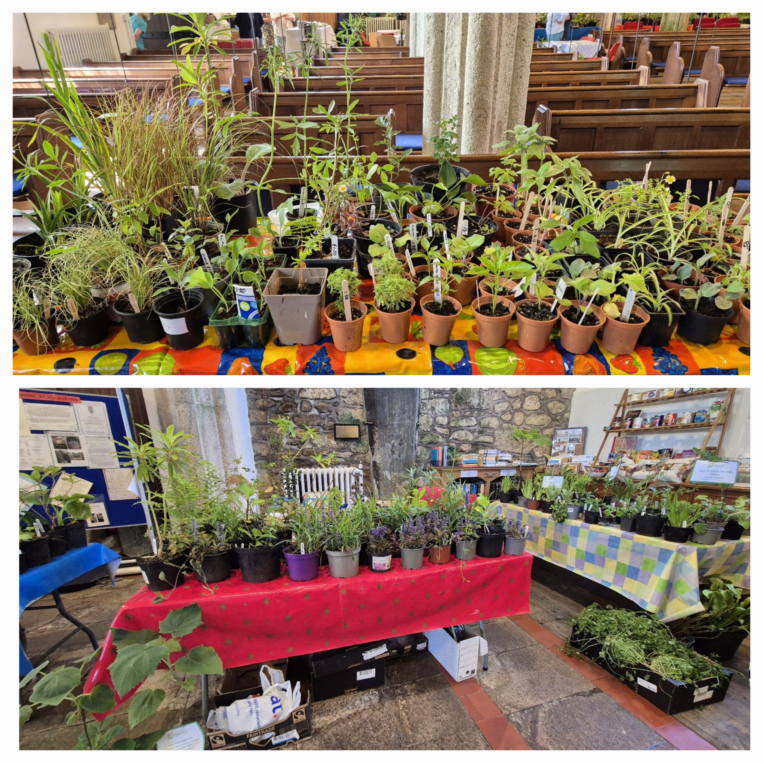Plant sale pics